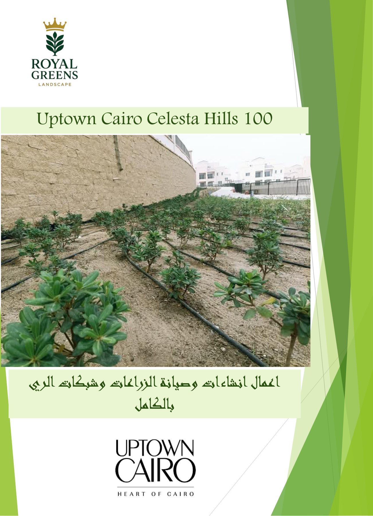 Uptown Cairo - Celesta Hills